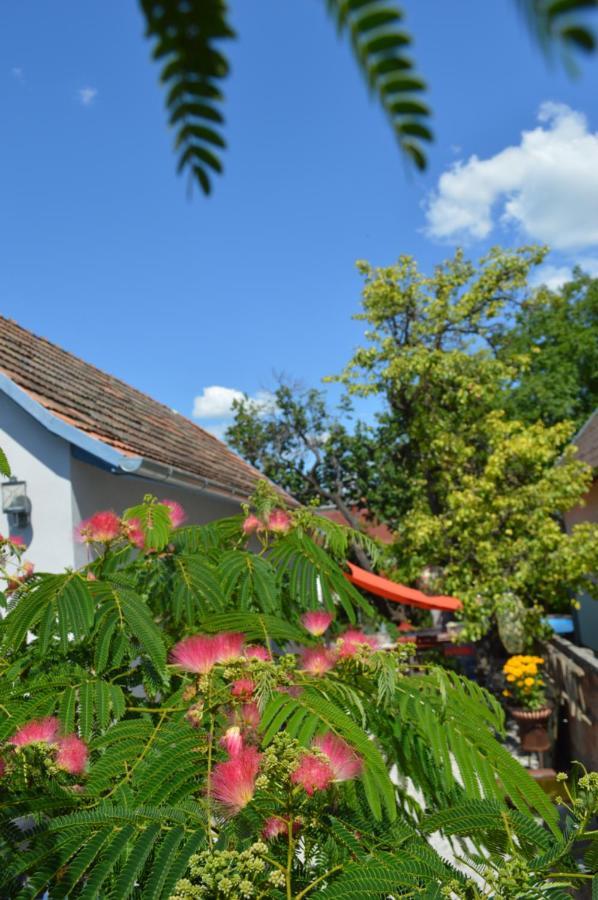 Das Nest Eisenstadt Esterno foto
