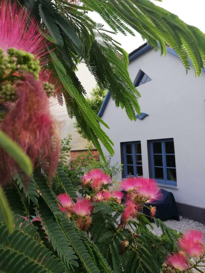 Das Nest Eisenstadt Esterno foto