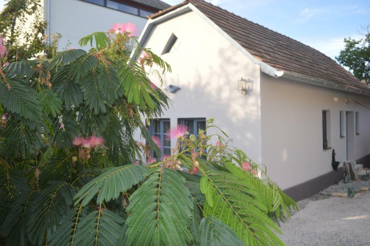 Das Nest Eisenstadt Esterno foto